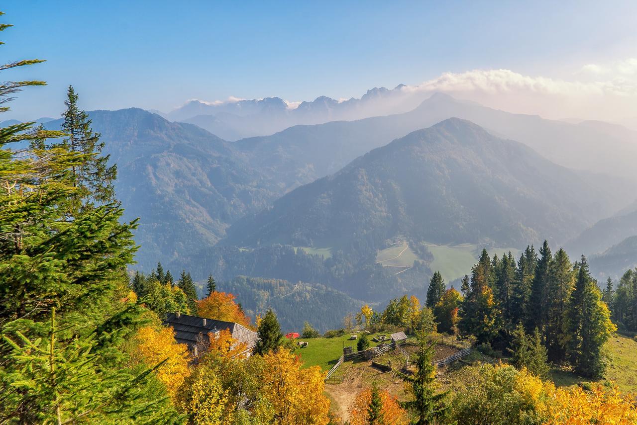Obiralmhuette Meierhof Bad Eisenkappel Exteriér fotografie